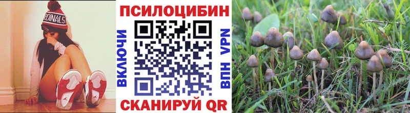Галлюциногенные грибы Psilocybe Анива